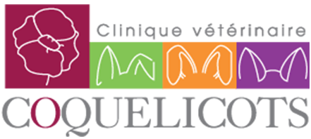 logo clinique vétérinaire